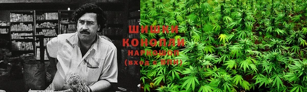 крисы Михайлов