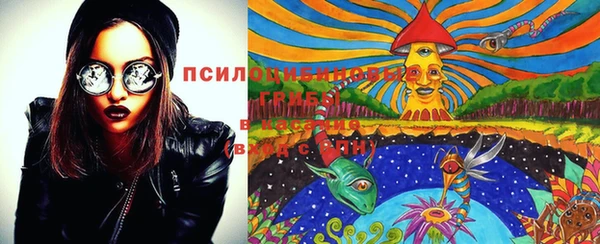 крисы Михайловка