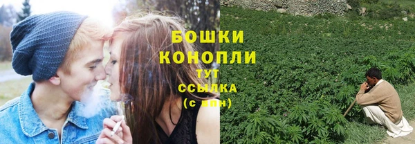 крисы Михайлов