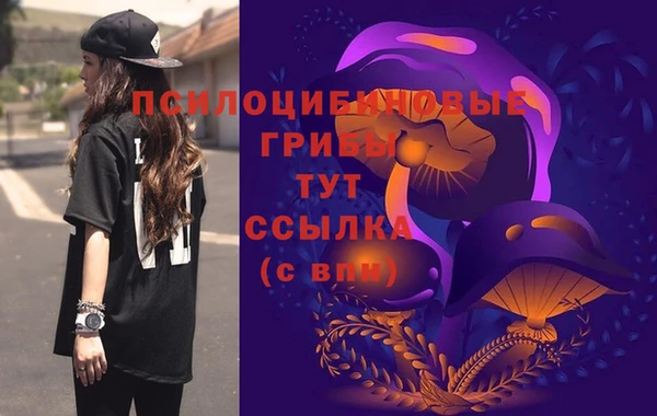 крисы Михайлов